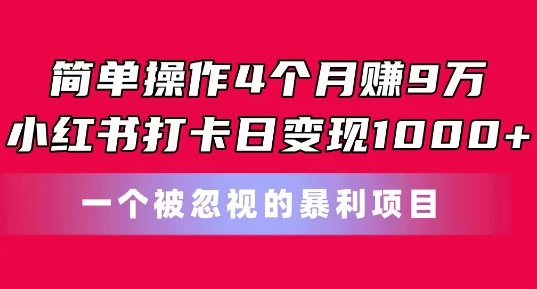 简单操作4个月赚9w，小红书打卡日变现1k，一个被忽视的暴力项目网赚项目-副业赚钱-互联网创业-资源整合百读客