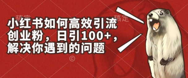 小红书如何高效引流创业粉,日引100+,解决你遇到的问题网赚项目-副业赚钱-互联网创业-资源整合百读客