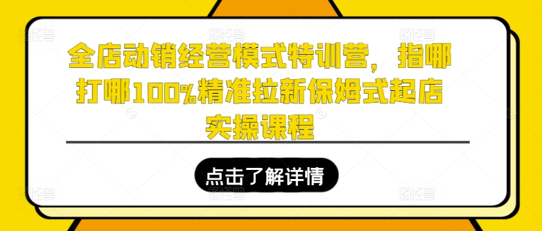 全店动销经营模式特训营，指哪打哪100%精准拉新保姆式起店实操课程网赚项目-副业赚钱-互联网创业-资源整合百读客
