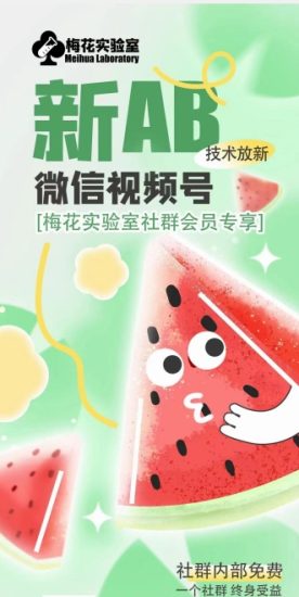 梅花实验室2024年AB技术视频号AB合成破解版网赚项目-副业赚钱-互联网创业-资源整合百读客