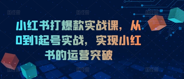 小红书打爆款实战课,从0到1起号实战,实现小红书的运营突破网赚项目-副业赚钱-互联网创业-资源整合百读客