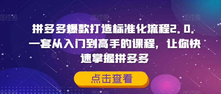 拼多多爆款打造标准化流程2.0，一套从入门到高手的课程，让你快速掌握拼多多网赚项目-副业赚钱-互联网创业-资源整合百读客