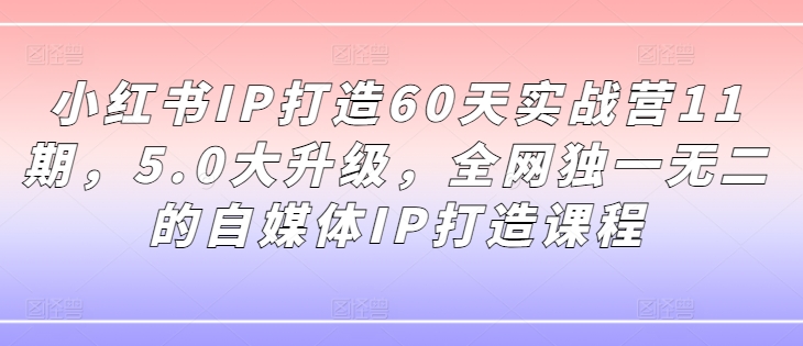 小红书IP打造60天实战营11期,5.0大升级,全网独一无二的自媒体IP打造课程网赚项目-副业赚钱-互联网创业-资源整合百读客