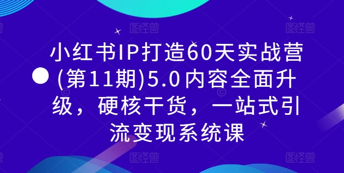 小红书IP打造60天实战营(第11期)5.0内容全面升级,硬核干货,一站式引流变现系统课网赚项目-副业赚钱-互联网创业-资源整合百读客