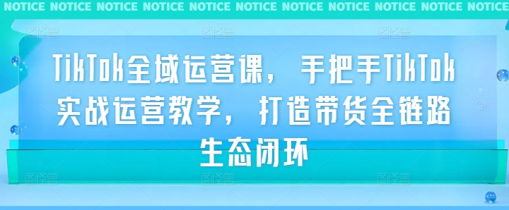 TikTok全域运营课，手把手TikTok实战运营教学，打造带货全链路生态闭环网赚项目-副业赚钱-互联网创业-资源整合百读客
