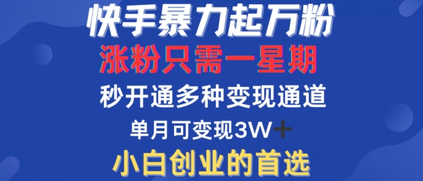 快手暴力起万粉，涨粉只需一星期，多种变现模式，直接秒开万合，单月变现过W网赚项目-副业赚钱-互联网创业-资源整合百读客
