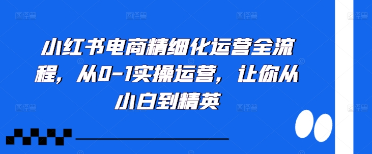 小红书电商精细化运营全流程，从0-1实操运营，让你从小白到精英网赚项目-副业赚钱-互联网创业-资源整合百读客