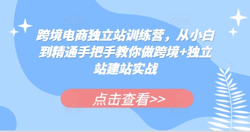 跨境电商独立站训练营,从小白到精通手把手教你做跨境+独立站建站实战网赚项目-副业赚钱-互联网创业-资源整合百读客