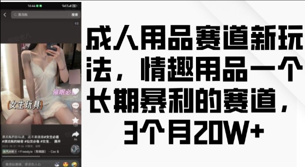 成人用品赛道新玩法，情趣用品一个长期暴利的赛道，3个月收益20个网赚项目-副业赚钱-互联网创业-资源整合百读客