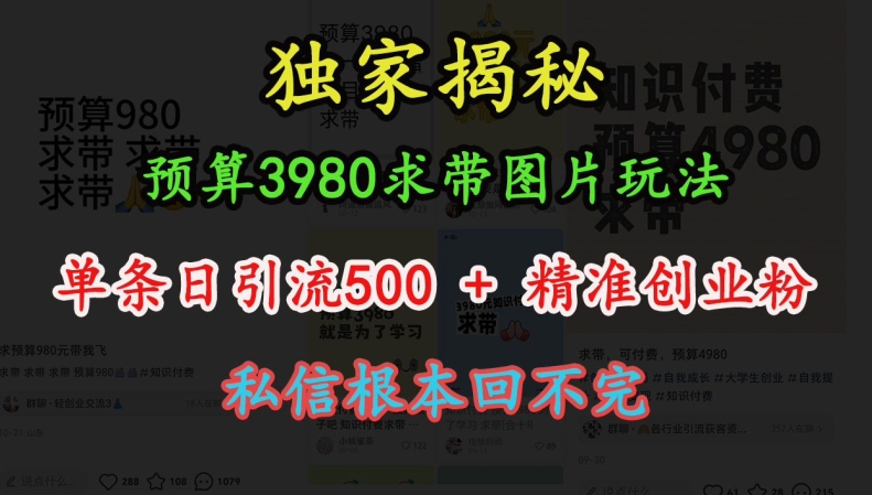 预算3980求带 图片玩法,单条日引流500+精准创业粉,私信根本回不完网赚项目-副业赚钱-互联网创业-资源整合百读客