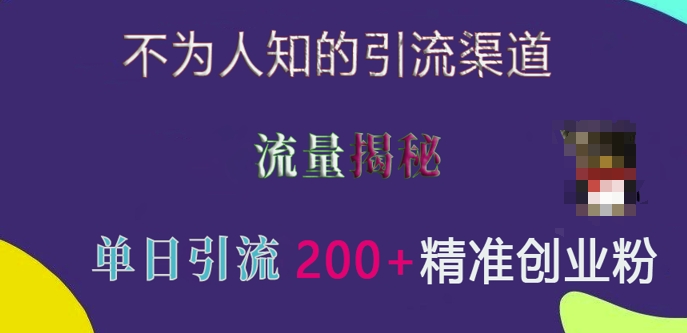 不为人知的引流渠道,流量揭秘,实测单日引流200+精准创业粉网赚项目-副业赚钱-互联网创业-资源整合百读客