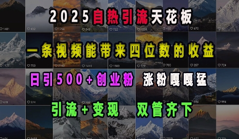 2025自热引流天花板，一条视频能带来四位数的收益，引流+变现双管齐下，日引500+创业粉，涨粉嘎嘎猛网赚项目-副业赚钱-互联网创业-资源整合百读客