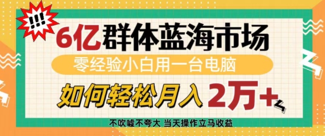 6亿群体蓝海市场,零经验小白用一台电脑,如何轻松月入过w网赚项目-副业赚钱-互联网创业-资源整合百读客