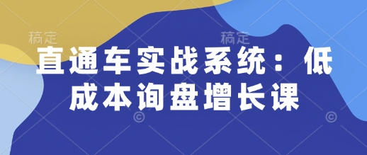 直通车实战系统：低成本询盘增长课，让个人通过技能实现升职加薪，让企业低成本获客，订单源源不断网赚项目-副业赚钱-互联网创业-资源整合百读客