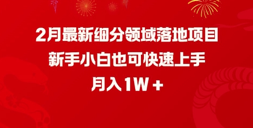 2月最新细分领域落地项目,新手小白也可快速上手,月入1W网赚项目-副业赚钱-互联网创业-资源整合百读客