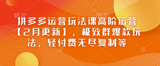 拼多多运营玩法课高阶运营【2月更新】，极致群爆款玩法，轻付费无尽复制等网赚项目-副业赚钱-互联网创业-资源整合百读客