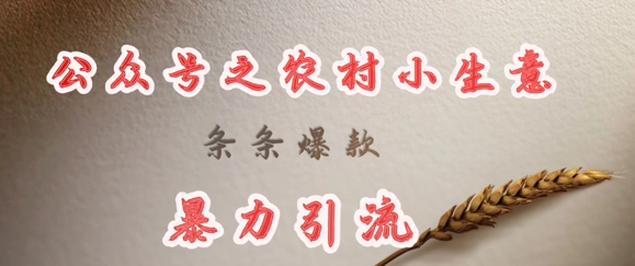 deepseek写农村小项目,条条爆款,暴力引流网赚项目-副业赚钱-互联网创业-资源整合百读客