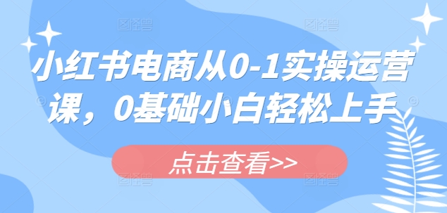 小红书电商从0-1实操运营课,0基础小白轻松上手网赚项目-副业赚钱-互联网创业-资源整合百读客