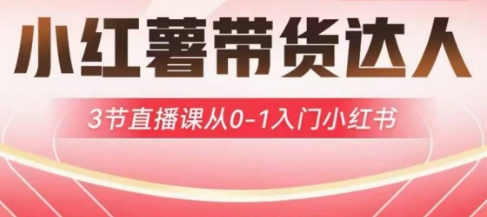 小红薯达人带货启航计划,3节直播课从0-1入门小红书网赚项目-副业赚钱-互联网创业-资源整合百读客
