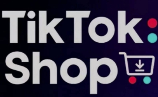 TikTokShop跨境电商0-1实战,手把手教你低成本启动海外市场网赚项目-副业赚钱-互联网创业-资源整合百读客