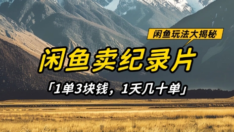 闲鱼卖纪录片1单3块钱，1天几十单，项目稳定有潜力网赚项目-副业赚钱-互联网创业-资源整合百读客