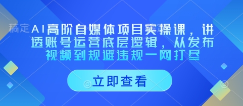 AI高阶自媒体项目实操课,讲透账号运营底层逻辑,从发布视频到规避违规一网打尽网赚项目-副业赚钱-互联网创业-资源整合百读客