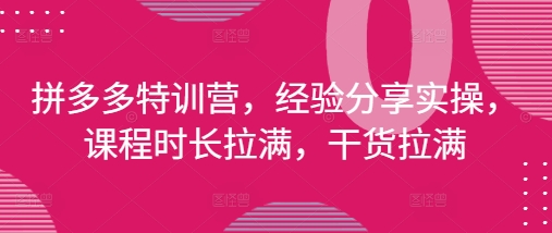 拼多多特训营,经验分享实操,课程时长拉满,干货拉满(更新25年4月)网赚项目-副业赚钱-互联网创业-资源整合百读客