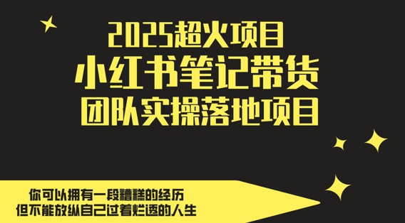 2025超火项目,副业最佳选择,小红书笔记带货团队实操落地项目,,轻松日入5张网赚项目-副业赚钱-互联网创业-资源整合百读客