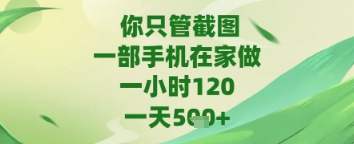 你只管截图，一部手机在家做，苹果安卓都可以，一天5张+网赚项目-副业赚钱-互联网创业-资源整合百读客