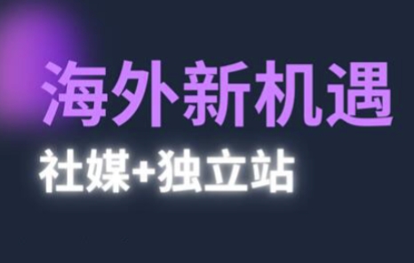 2025出海新机遇(社媒+独立站)，海外新机遇，实现独立站的高效运营与出海网赚项目-副业赚钱-互联网创业-资源整合百读客