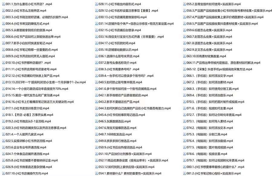 新个体·搞钱-小红书训练营：实战落地运营方法，抓住搞钱方向，每月多搞2w+