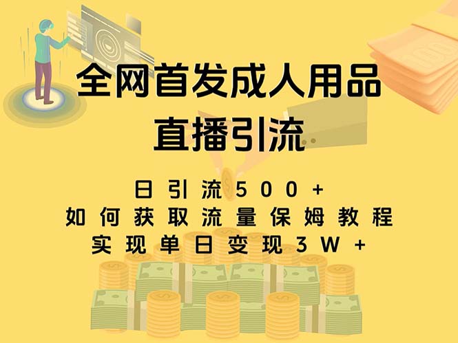 最新全网独创首发,成人用品直播引流获客暴力玩法,单日变现3w保姆级教程网赚项目-副业赚钱-互联网创业-资源整合百读客
