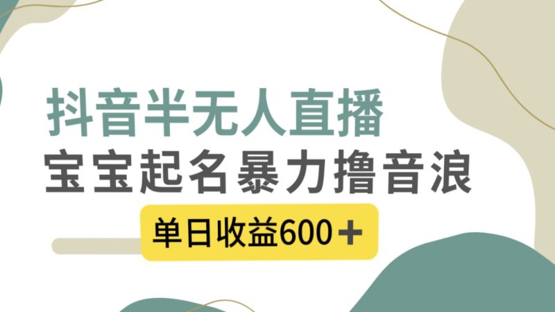 抖音半无人直播,宝宝起名,暴力撸音浪,单日收益600+网赚项目-副业赚钱-互联网创业-资源整合百读客