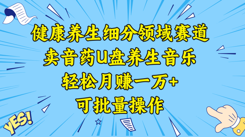 健康养生细分领域赛道,卖音药U盘养生音乐,轻松月赚一万+,可批量操作网赚项目-副业赚钱-互联网创业-资源整合百读客
