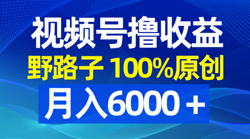 视频号野路子撸收益,100%原创,条条爆款,月入6000+网赚项目-副业赚钱-互联网创业-资源整合百读客