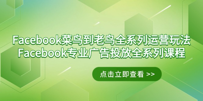 Facebook-菜鸟到老鸟全系列运营玩法+Facebook-专业广告投放全系列课程网赚项目-副业赚钱-互联网创业-资源整合百读客
