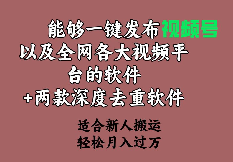能够一键发布视频号以及全网各大视频平台的软件+两款深度去重软件 适合…网赚项目-副业赚钱-互联网创业-资源整合百读客