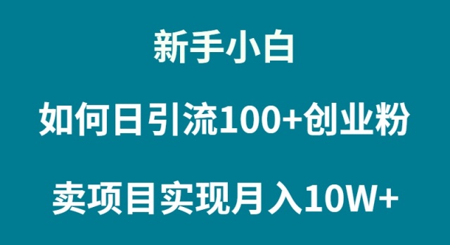 新手小白如何通过卖项目实现月入10W+网赚项目-副业赚钱-互联网创业-资源整合百读客