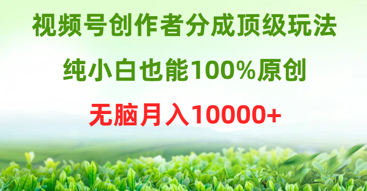 视频号创作者分成顶级玩法，纯小白也能100%原创，无脑月入10000+网赚项目-副业赚钱-互联网创业-资源整合百读客