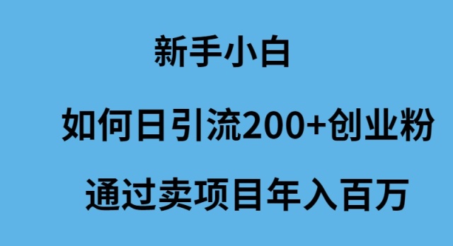 新手小白如何日引流200+创业粉通过卖项目年入百万网赚项目-副业赚钱-互联网创业-资源整合百读客