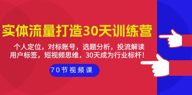 实体-流量打造-30天训练营：个人定位，对标账号，选题分析，投流解读-70节网赚项目-副业赚钱-互联网创业-资源整合百读客