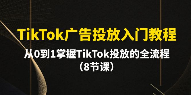 TikTok广告投放入门教程,从0到1掌握TikTok投放的全流程(8节课)网赚项目-副业赚钱-互联网创业-资源整合百读客