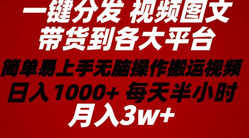 2024年 一键分发带货图文视频  简单易上手 无脑赚收益 每天半小时日入1…网赚项目-副业赚钱-互联网创业-资源整合百读客