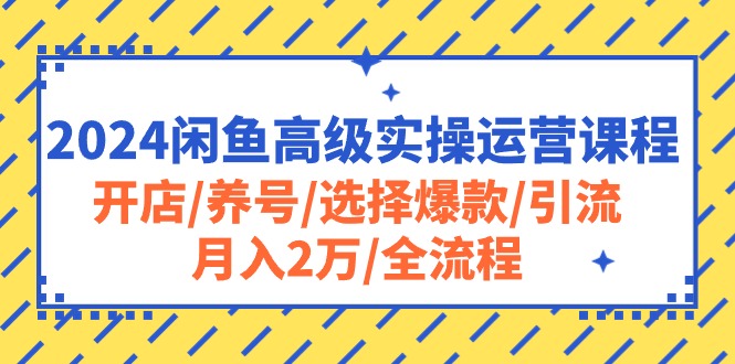 2024闲鱼高级实操运营课程:开店/养号/选择爆款/引流/月入2万/全流程网赚项目-副业赚钱-互联网创业-资源整合百读客
