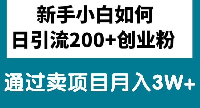 新手小白日引流200+创业粉,通过卖项目月入3W+网赚项目-副业赚钱-互联网创业-资源整合百读客