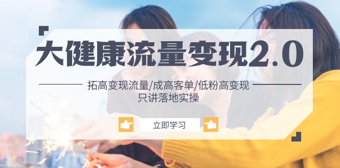 大健康 流量 变现2.0：拓高变现 流量/成高客单/低粉高变现/只讲落地实战网赚项目-副业赚钱-互联网创业-资源整合百读客