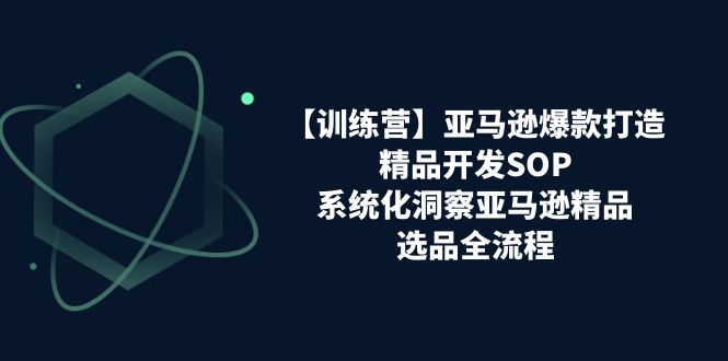 【训练营】亚马逊爆款打造之精品开发SOP，系统化洞察亚马逊精品选品全流程网赚项目-副业赚钱-互联网创业-资源整合百读客