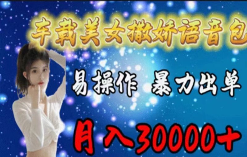 车载美女撒娇语音包,执行就出单,月入3000+,小白看完课程就能马上实操网赚项目-副业赚钱-互联网创业-资源整合百读客