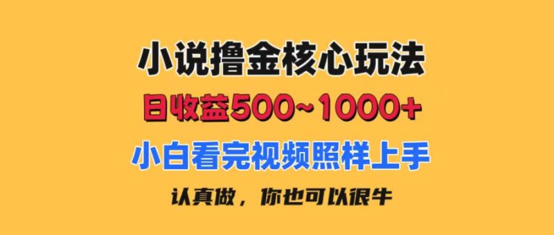 小说撸金核心玩法，日收益500-1000+，小白看完照样上手，0成本有手就行网赚项目-副业赚钱-互联网创业-资源整合百读客