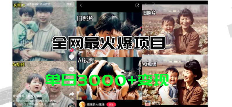 全网爆火的AI让老照片动起来教程,蹭热点日赚3000+,内含免费工具一键…网赚项目-副业赚钱-互联网创业-资源整合百读客